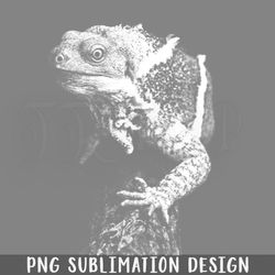 Lizard Risograph Artwork PNG Download