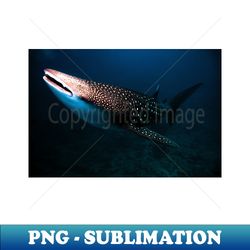 whale shark photography - vintage sublimation png download - vibrant and eye-catching typography