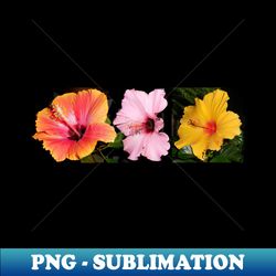 Three Beautiful Hibiscus Flowers - Special Edition Sublimation PNG File - Perfect for Sublimation Mastery