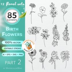 12 Birth Month Flowers Vector Illustrations Set