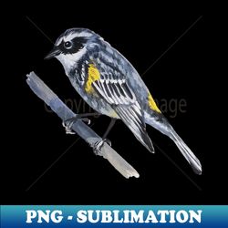 Yellow Rumped Warbler painting no background - Premium Sublimation Digital Download - Perfect for Personalization