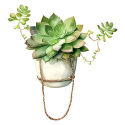 Succulent Pot with Natural Ropes PNG | Watercolor Painting Green Cactus Vine Clip art Cacti Botanical Terrarium Nature