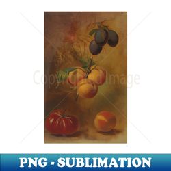Still Life with Plums Apricots and Tomato by Albertus Steenbergen - Stylish Sublimation Digital Download - Enhance Your Apparel with Stunning Detail