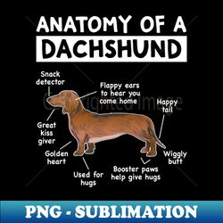 Funny Anatomy Dachshund Wiener Dog Cute Doxie Lover - Digital Sublimation Download File - Bold & Eye-catching
