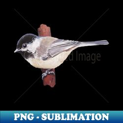 Chickadee in the Cedars bird painting no background - Modern Sublimation PNG File - Perfect for Creative Projects