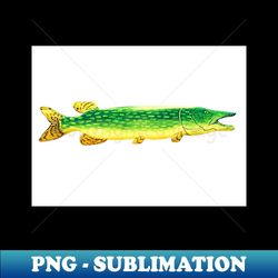 Northern pike fish - Unique Sublimation PNG Download - Fashionable and Fearless