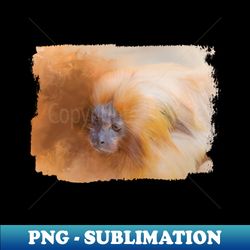 Golden Lion Tamarin 01 - Instant Sublimation Digital Download - Transform Your Sublimation Creations