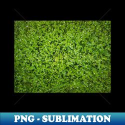 green pasture texture - Premium Sublimation Digital Download - Spice Up Your Sublimation Projects