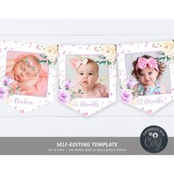lavender cream monthly photo banner, editable template, newborn - 12 months banner, printable first birthday flags, rose