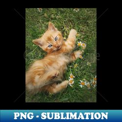 orange kitten among daisies - Artistic Sublimation Digital File - Boost Your Success with this Inspirational PNG Download