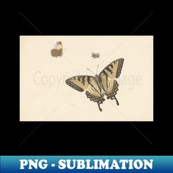 Three Butterflies by Herman Henstenburgh - High-Resolution PNG Sublimation File - Unleash Your Creativity