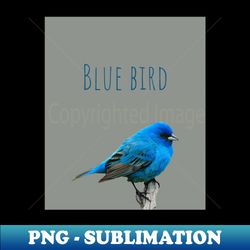blue bird - Premium PNG Sublimation File - Create with Confidence
