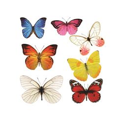 butterfly svg, trending svg, colorful butterfly svg, beautiful butterfly svg, butterfly love svg, butterfly gifts svg, b