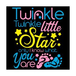 Twinkle Twinkle Little Star Only I Know What You Are, Trending Svg, Gender Reveal Svg, He Or She Svg, Pink Or Blue Svg,