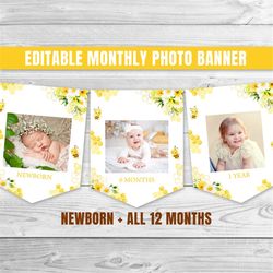 editable bee birthday monthly photo banner honey bee 1st birthday monthly banner so sweet to bee one party bumble bee bi
