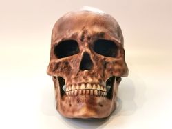 Homo Sapiens Cro-Magnon Skull Replica, Full-size 3d printed Hominid Skull, Museum Quality
