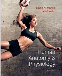 Human anatomy physiology by Elaine Nicpon Marieb Katja Hoehn ninth edition