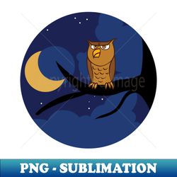 Owl - PNG Transparent Digital Download File for Sublimation - Stunning Sublimation Graphics