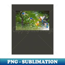 birds - Vintage Sublimation PNG Download - Perfect for Sublimation Mastery