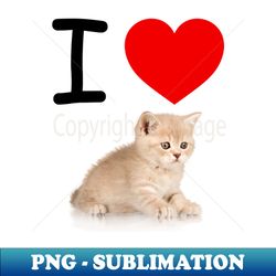 I HEART CUTE FLUFFY TABBY KITTEN - PNG Transparent Digital Download File for Sublimation - Fashionable and Fearless
