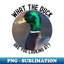 What the Duck - Professional Sublimation Digital Download - Vibrant and Eye-Catching Typography