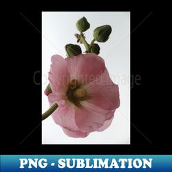 flora - Unique Sublimation PNG Download - Perfect for Creative Projects