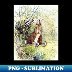 Benjamin Bunny - Beatrix Potter - Instant Sublimation Digital Download - Spice Up Your Sublimation Projects