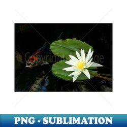 meditation wall art print - water lily and fish meditation - canvas photo print artboard print poster canvas print - png transparent sublimation design - defying the norms