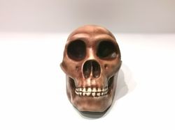 Homo Neanderthal from Spi Cave Skull Replica, Full-size 3d printed Hominid Skull, Museum Quality