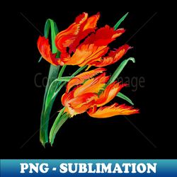 Bright Red Flamboyant Parrot Tulips Botanical Art Vector - Special Edition Sublimation PNG File - Defying the Norms