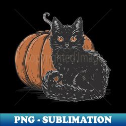 Black Kitten and Pumpkin - Special Edition Sublimation PNG File - Unlock Vibrant Sublimation Designs