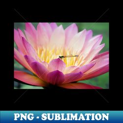 meditation wall art print - water lily and dragonfly meditation - canvas photo print artboard print poster canvas print - high-resolution png sublimation file - enhance your apparel with stunning detail