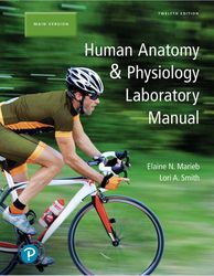 Human Anatomy Physiology Laboratory Manual Main Version by Elaine Marieb Lori Smith twelfth edition