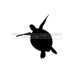 Sea Turtle vector .eps, .dxf, .svg .png. Vinyl Cutter Ready, T-Shirt, CNC clipart graphic 1042