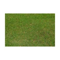 Green Grass Background Texture, Digital Download, Banner/Background Clipart, Texture Overlay, Photoshop Overlay, Stock Photo, Image 0006
