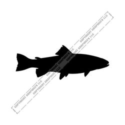 Rainbow Trout .eps, .svg, .dxf & 1 .png Vinyl Cutter Ready, T-Shirt, CNC clipart graphic 1180