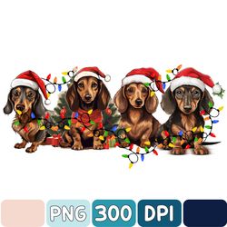 Dachshund Christmas Png, Christmas Dog Png, Dachshund Png, Christmas Png, Xmas, Dachshund Mom Png, Dog Owner Christmas