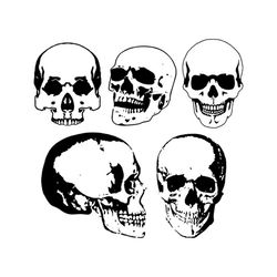 5 vector Skulls, Anatomy clip art, Skull clip art, Skull SVG, silhouette, Svg, Dxf, Eps, Ai, Cdr, Studio3 files. Design element, clipart