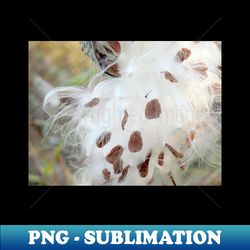 Milkweed Seeds - Elegant Sublimation PNG Download - Unleash Your Creativity