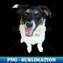Cute Canine Border Collie Mix - Instant PNG Sublimation Download - Perfect for Sublimation Mastery