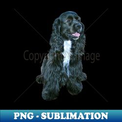 Black Cocker Spaniel With White Bib - Just The Dog - Exclusive Sublimation Digital File - Perfect For Sublimation Mastery