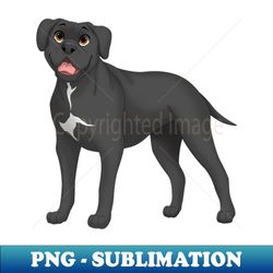 Black Cane Corso Dog - Vintage Sublimation PNG Download - Perfect for Sublimation Mastery