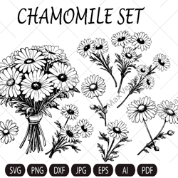 Chamomile Flowers Clip Art, Chamomile PNG, Floral Clipart, Herbal Clip Art, Wildflower, Wedding Invitation, Detailed Flo