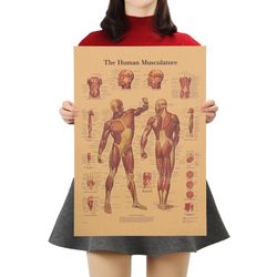 the human body muscle kraft paper poster vintage style wall sticker home bar cafe classroom decor painting 42x30cm