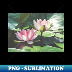meditation wall art print - water lily meditation - canvas photo print artboard print poster canvas print - modern sublimation png file - create with confidence