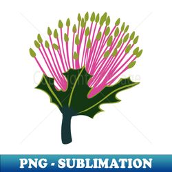banksia flower - Professional Sublimation Digital Download - Defying the Norms