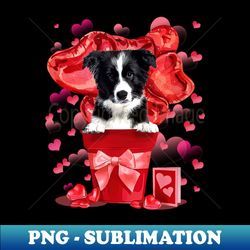 Border Collie Dog In Red Pot Happy Valentines Day - Trendy Sublimation Digital Download - Boost Your Success with this Inspirational PNG Download
