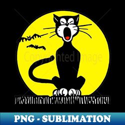 Black Cat On Fence - Elegant Sublimation PNG Download - Perfect for Personalization
