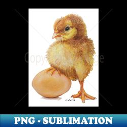 Baby Chick with Egg - PNG Transparent Sublimation File - Add a Festive Touch to Every Day