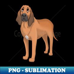 Bloodhound Dog - PNG Transparent Sublimation File - Transform Your Sublimation Creations